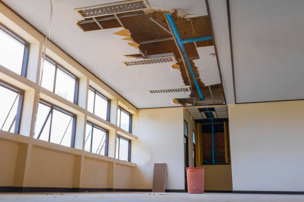 Best Water damage restoration mold remediation  in Joshua, TX