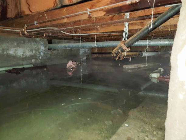 Sewage cleanup and water damage restoration in Joshua, TX