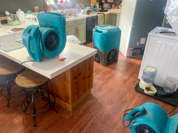 Best Water damage contractors near me  in Joshua, TX