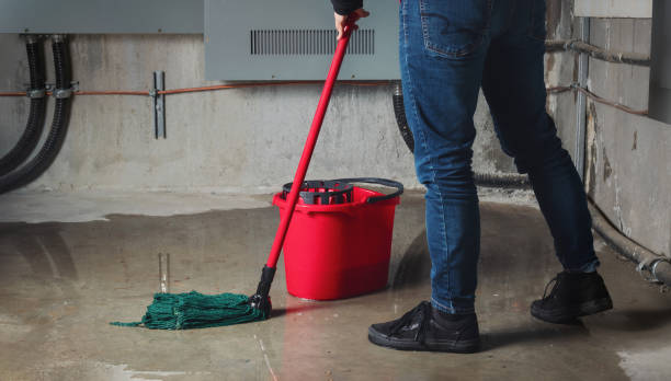 Reliable Joshua, TX Water damage restoration Solutions