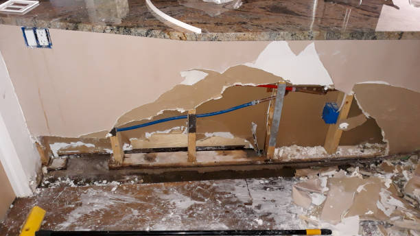 Best Mold removal after water damage  in Joshua, TX