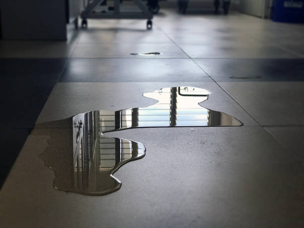 Best Water damage cleanup near me  in Joshua, TX
