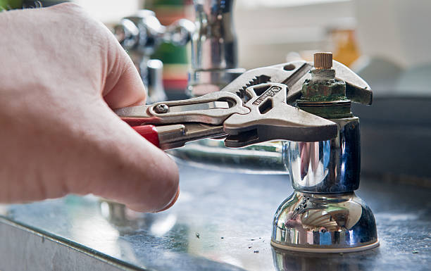 Best Professional water damage repair  in Joshua, TX