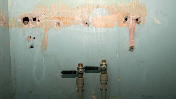Best Ceiling water damage repair  in Joshua, TX