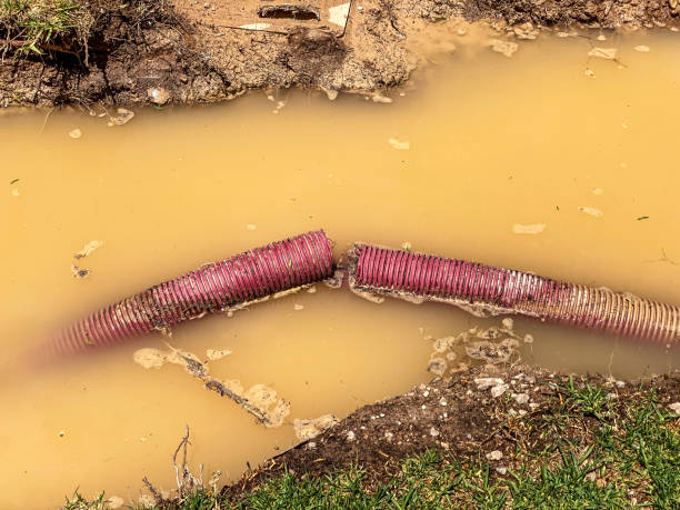 Local water damage restoration in Joshua, TX
